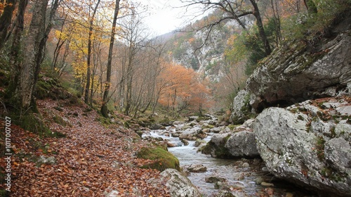 Autumn landscape featuring a tranquil river flowing through a forest of vibrant foliage