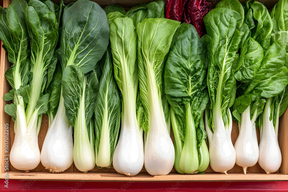 Bok Choy and Swiss Chard at a Farm Stall | Fresh Organic Greens for Healthy Cooking and Farm-to-Table Markets Bok Choy and Swiss Chard at a Farm Stall | Fresh Organic Greens for Healthy Cooking and Farm-to-Table Markets