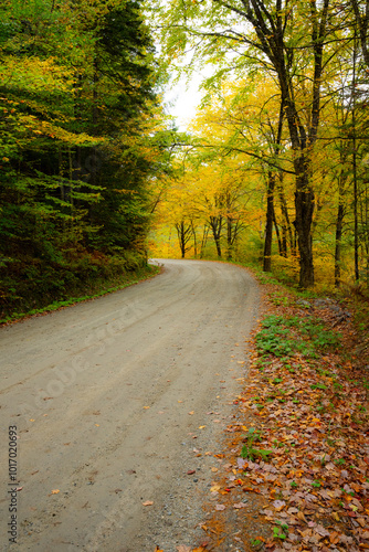 Fall Leaves in New England Autumn, Vermont, New Hampshire, Massachusetts, Maine. 