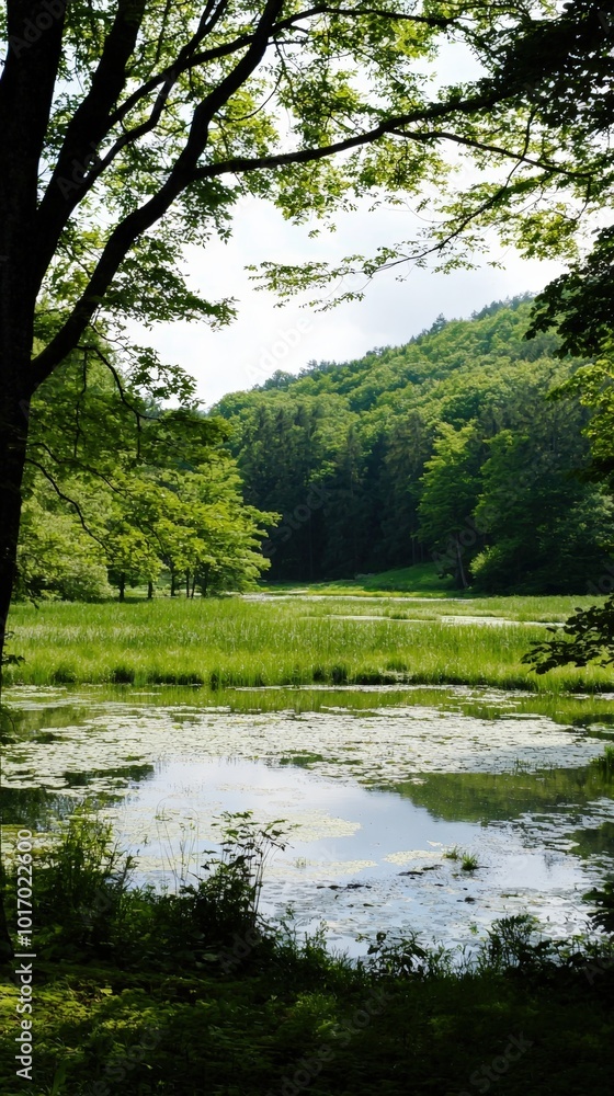 Serene green landscape with a tranquil pond surrounded by lush trees and distant hills Serene green landscape with a tranquil pond surrounded by lush trees and distant hills