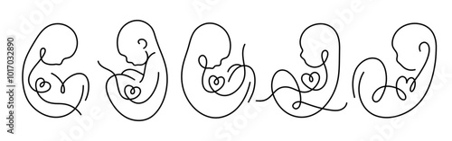 Baby Fetus silhouette line art. Birth announcement. Embryo with heart. Motherhood. Pregnancy. Vector.