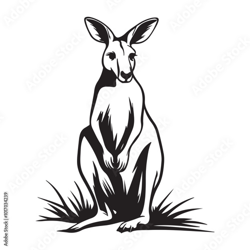 Kangaroo Silhouette and Illustrations, Kangaroo in cartoon, doodle style, Kangaroo Vector Line art Illustration