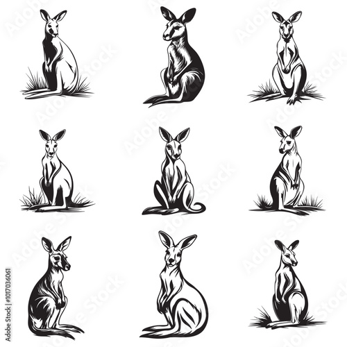 Kangaroo Silhouette and Illustrations, Kangaroo in cartoon, doodle style, Kangaroo Vector Line art Illustration