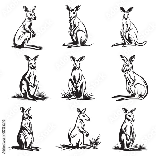 Kangaroo Silhouette and Illustrations, Kangaroo in cartoon, doodle style, Kangaroo Vector Line art Illustration