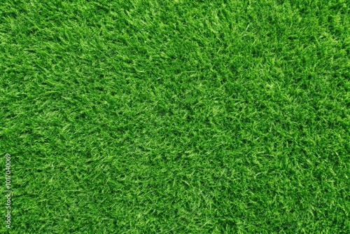 Wallpaper Mural Background texture of summer grass lawn Torontodigital.ca