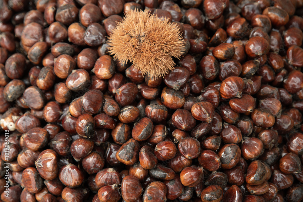 Raw fresh chestnuts kestane close-up in the market ,top view of chestnuts. Raw fresh chestnuts kestane close-up in the market ,top view of chestnuts.