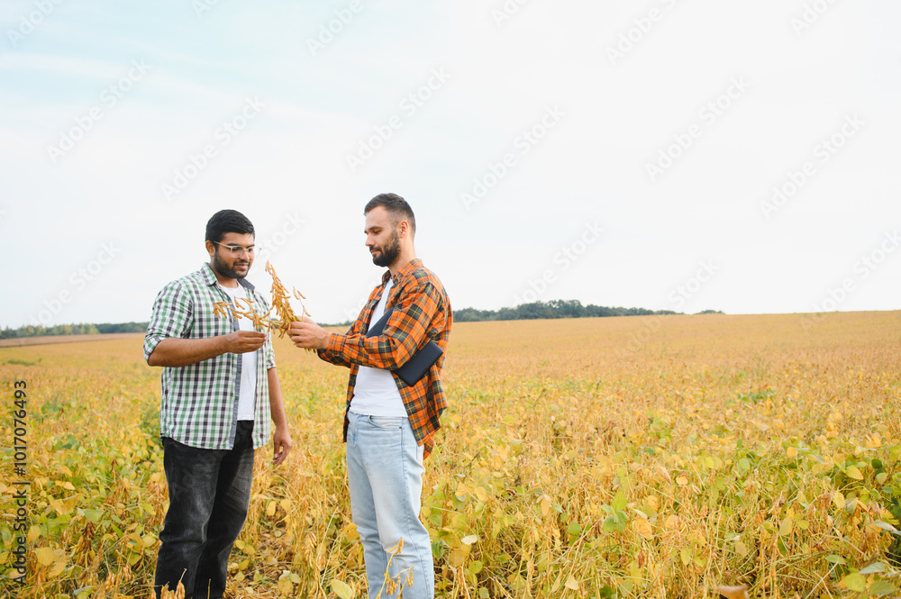 Portrait of two farmers in a soy field Portrait of two farmers in a soy field