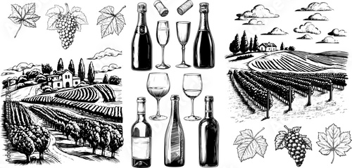 Vintage vector sketch of a vineyard scenery with wine bottle and glass. Hand-drawn illustration featuring grapes, cork, and vine elements.
