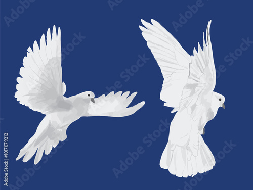 Illustration oiseaux colombes blanches qui volent vecteur 
