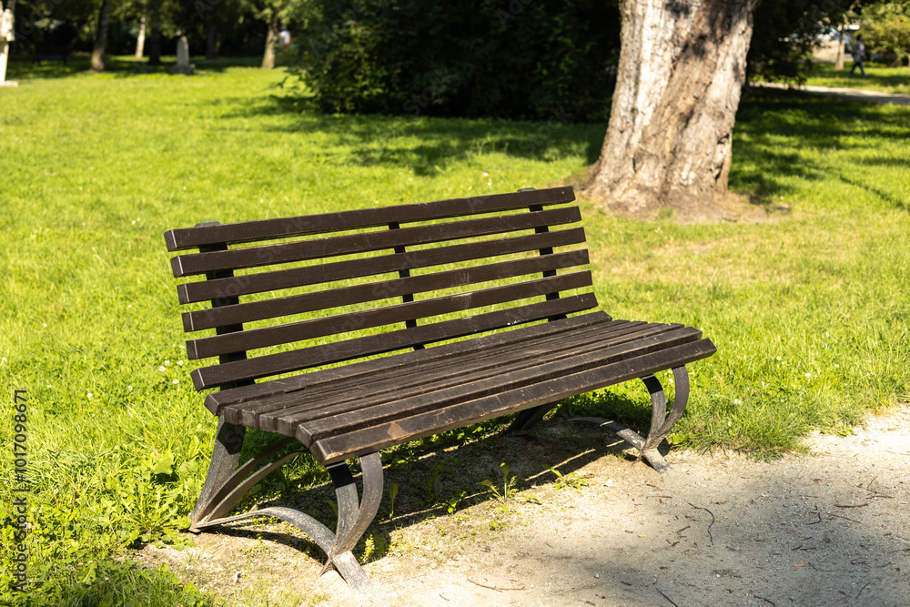 A modern wooden bench standing in the park. Comfortable bench in recreation area. City improvement, urban planning, public spaces. A modern wooden bench standing in the park. Comfortable bench in recreation area. City improvement, urban planning, public spaces.