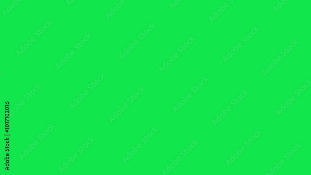 Fairy shining flashing magic twinkle stars starlight on chroma key green screen alpha channel background Fairy shining flashing magic twinkle stars starlight on chroma key green screen alpha channel background