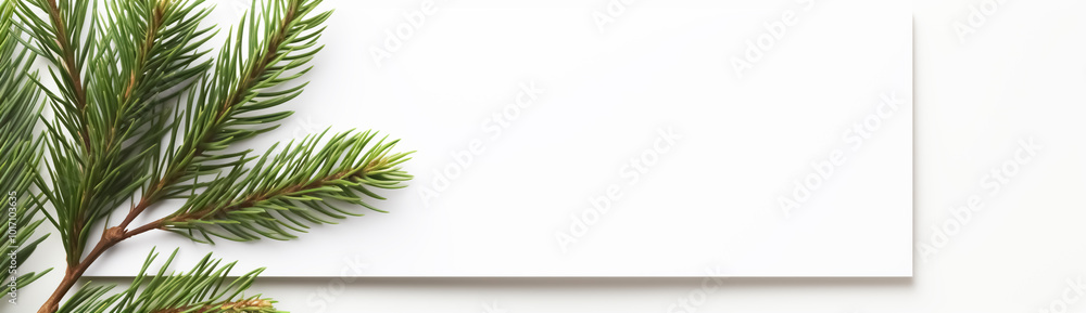 Christmas card with pine branch on white background with copy space Christmas card with pine branch on white background with copy space