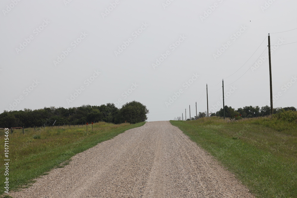 rural gravel road stretches to a gray horizon between pastures rural gravel road stretches to a gray horizon between pastures