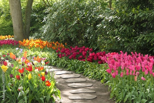 Keukenhof gardens in the Netherlands. Path through the colorful tulip flowers. Beautiful famous spring garden.