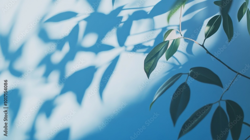A light blue wall with blurry plant shadows forms a simple yet stunning backdrop. Perfect for presentations. A light blue wall with blurry plant shadows forms a simple yet stunning backdrop. Perfect for presentations.