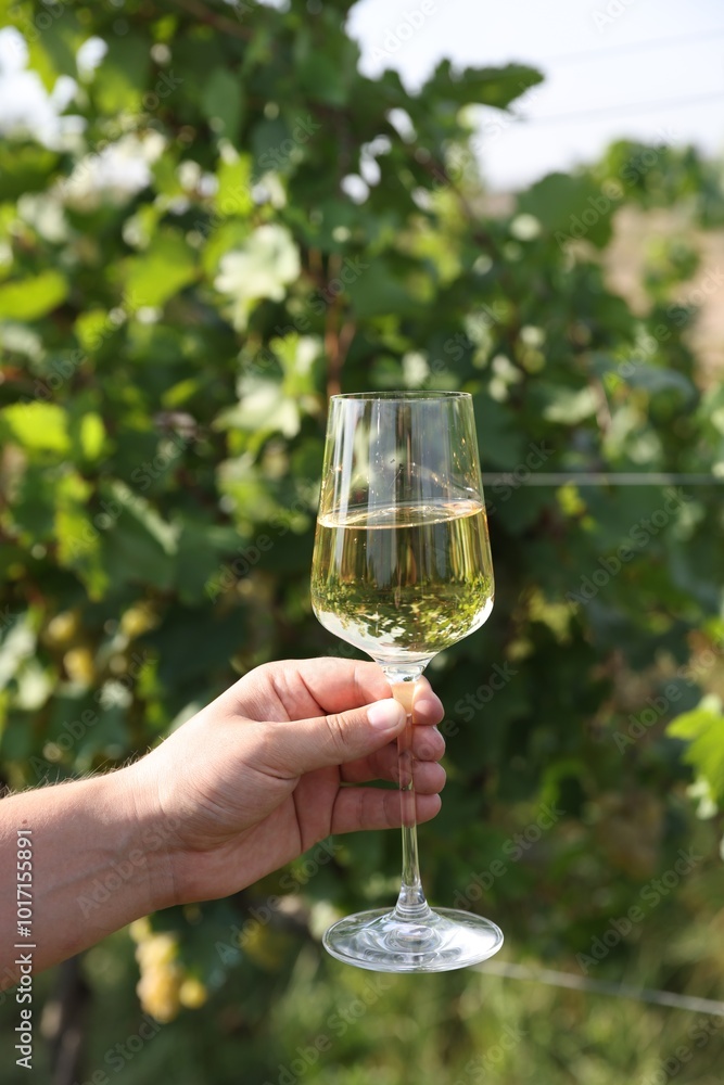 Man holding glass with tasty wine outdoors, closeup Man holding glass with tasty wine outdoors, closeup