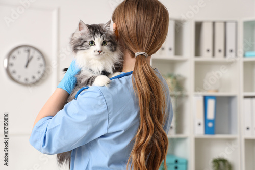 Female veterinarian holding...