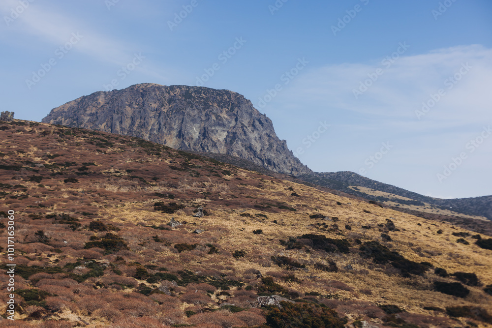 Obraz premium Hallasan National Park, Jeju island, South Korea, spring landscape view of Yeongsil trail, Halla volcano peak, trekking and climbing to Halla mountain, travel and hiking in Korea, Jeju-do, sunny day