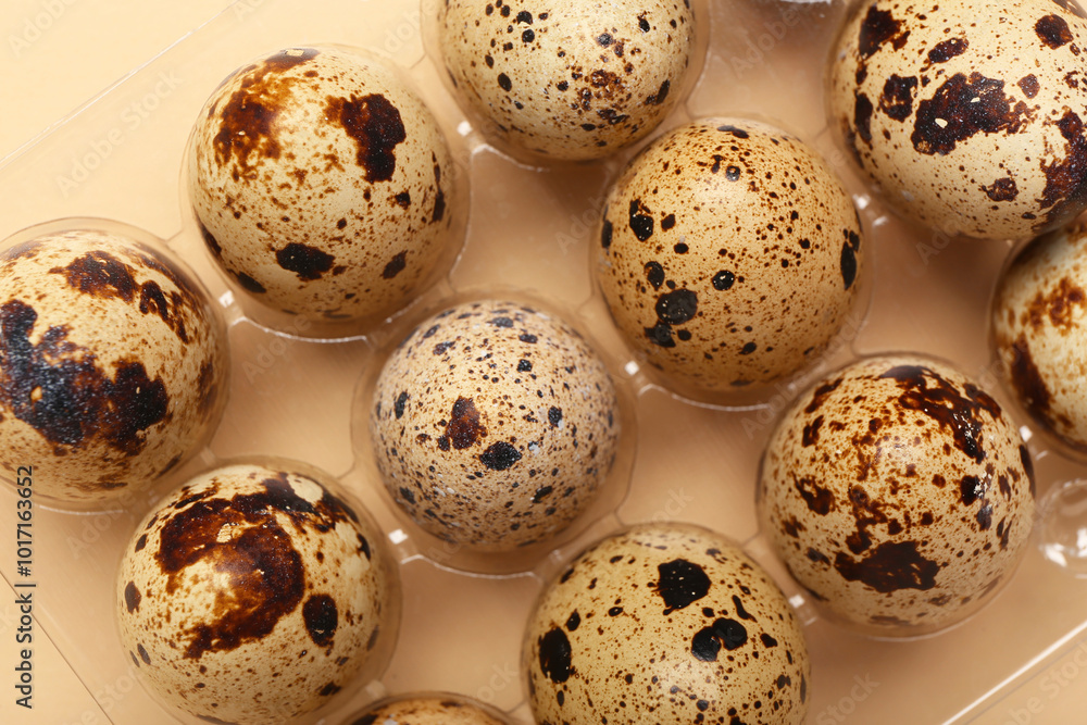 Plastic holder with fresh quail eggs on beige background, closeup Plastic holder with fresh quail eggs on beige background, closeup