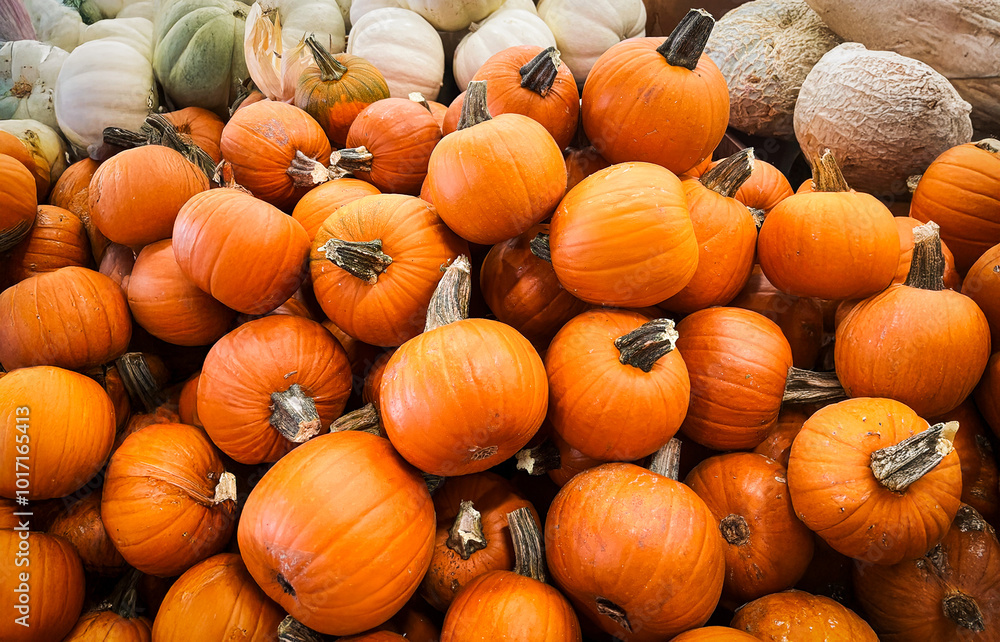 pile of pumpkins pile of pumpkins