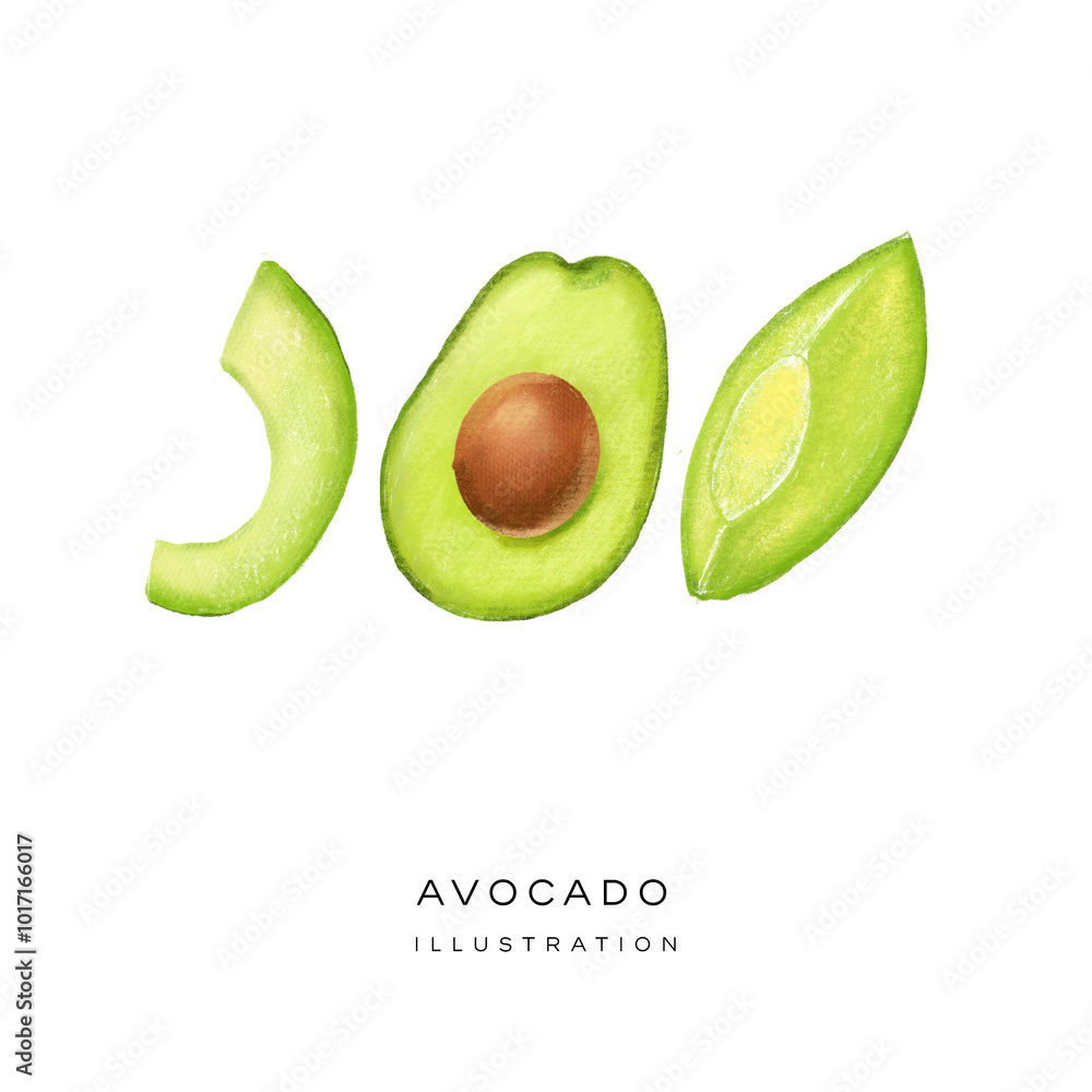 custom made wallpaper toronto digitalIllustration of avocado set, depicted in a realistic style and isolated on a white background. Hand drawing illustration. 