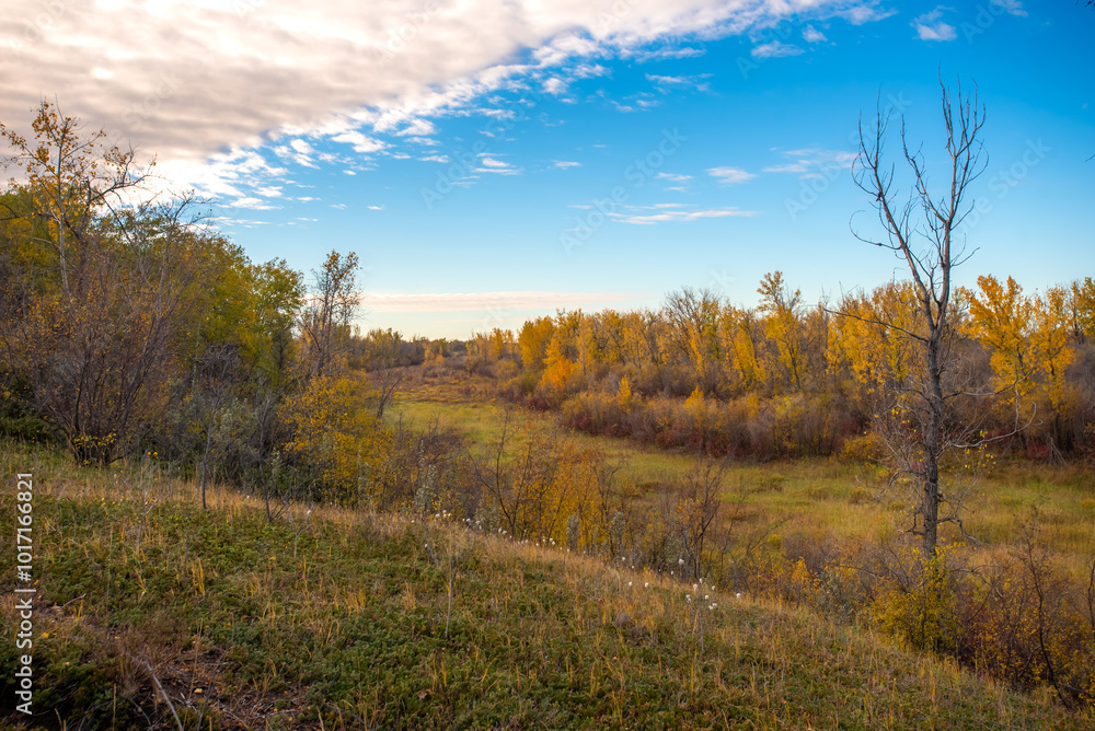Autumn at Cranberry Flats Conservation Area Autumn at Cranberry Flats Conservation Area