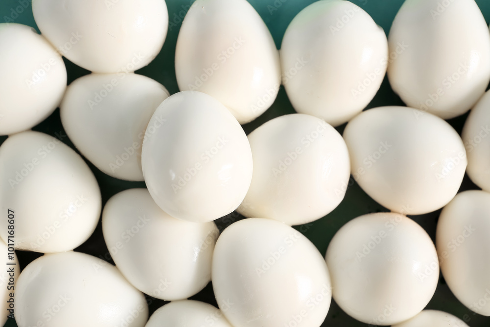Fresh boiled quail eggs on blue background, closeup Fresh boiled quail eggs on blue background, closeup