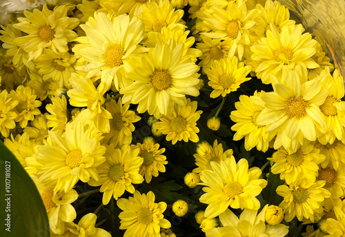 yellow flowers bouquet 