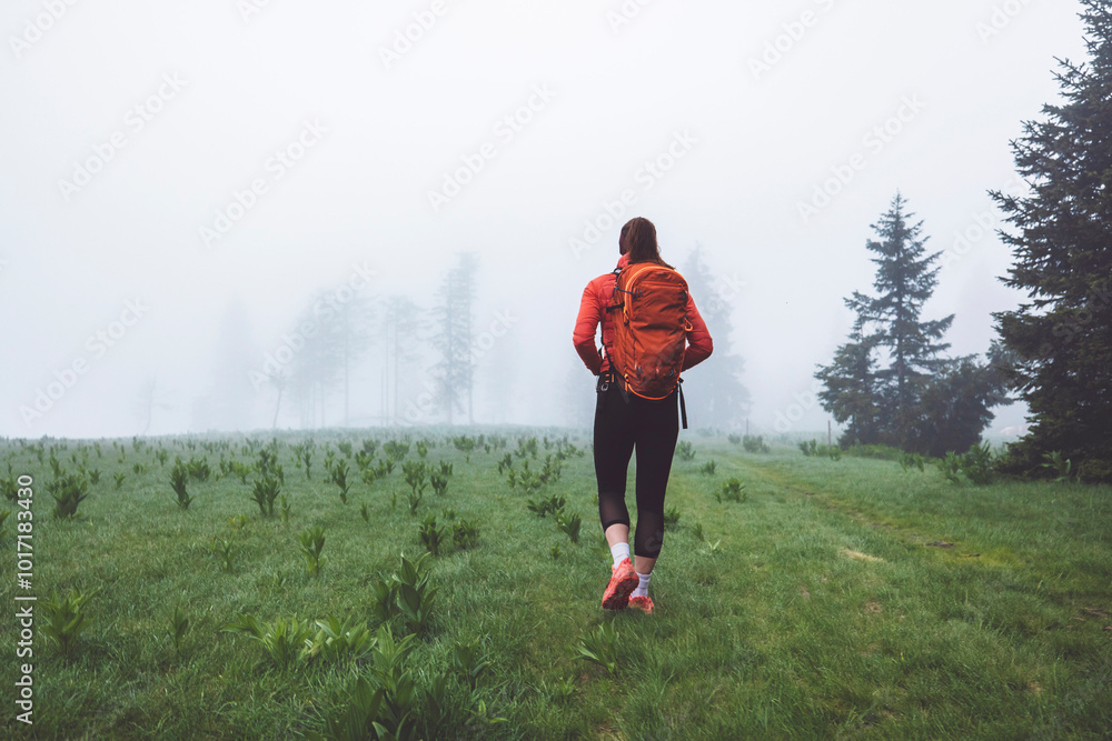 A lone hiker in an orange backpack walks through a misty green field. The background features tall, fog-covered trees, creating a serene and mysterious atmosphere. A lone hiker in an orange backpack walks through a misty green field. The background features tall, fog-covered trees, creating a serene and mysterious atmosphere.