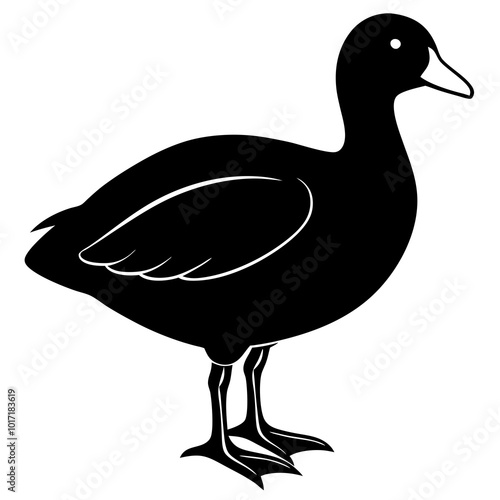 Bird Illustrations  Diverse Vector Graphics for Nature and Wildlife Projects