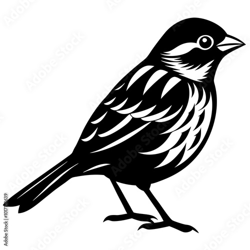 Bird Illustrations  Diverse Vector Graphics for Nature and Wildlife Projects