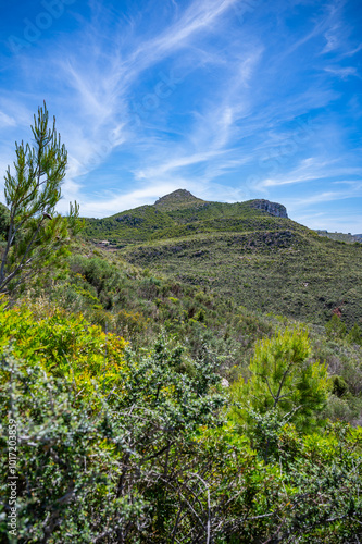 Serra de Tramuntana mountain landscape, Mallorca, with lots of plants during great weather, majorca, vertical shot