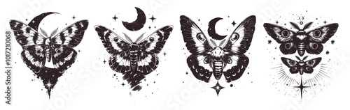 Engraving moth tattoo. Hand drawn mystical esoteric symbols with death head hawkmoth moon stars. Magic butterfly set vector illustration