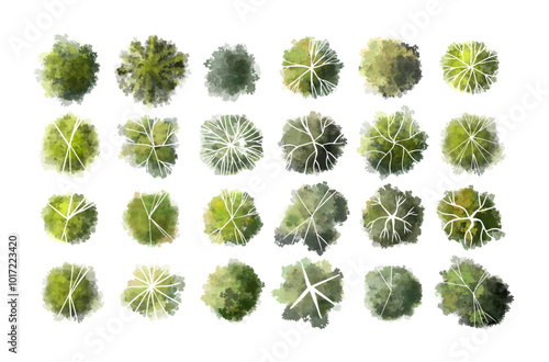 Vector tree top view isolated on white background for landscape plan and architecture layout drawing, elements for environment and garden