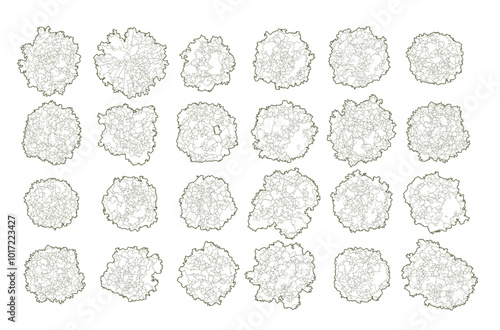 Vector tree top view isolated on white background for landscape plan and architecture layout drawing, elements for environment and garden