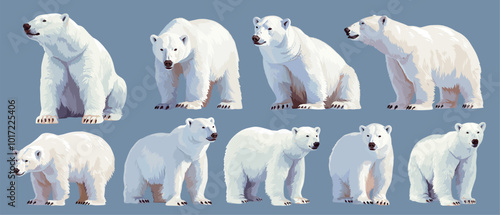 polar bears. sea bear, wild animal white big northern beast wildlife arctic vector illustration