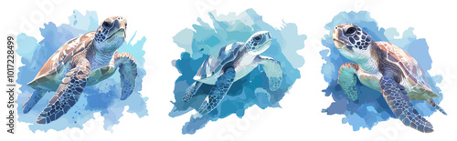 sea turtles watercolor. ocean turtle in water, reptile animal wildlife painting vector illustration