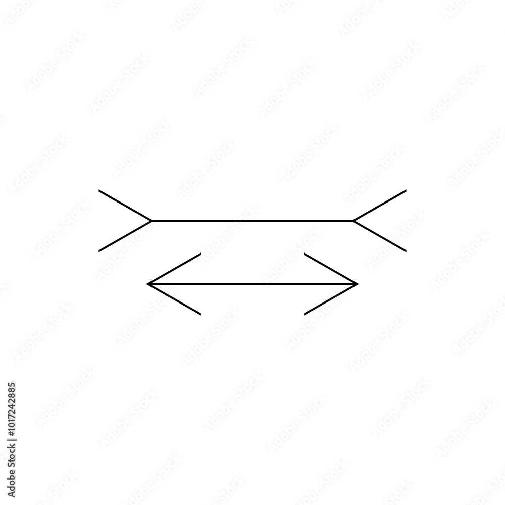 Muller-Lyer illusion Muller-Lyer illusion