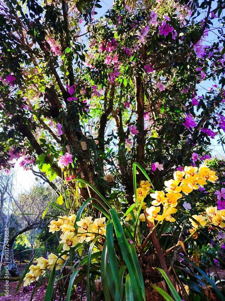 Obraz premium flowers in the park