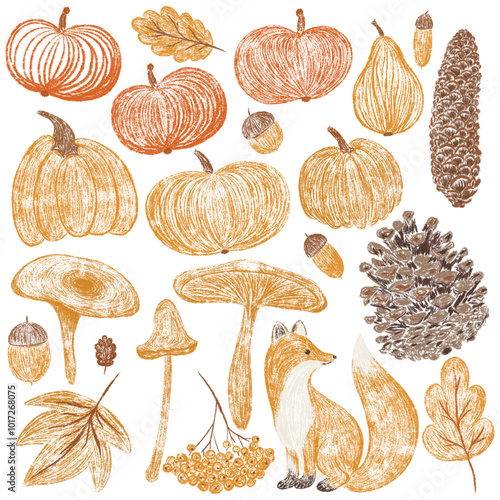Autumn big chalk drawing set. Pencil texture childish fall elements collection: oak, maple leaf, mushroom, acorn, rowan, pumpkin, fox, pine cone. Crayon textured kids isolated vector illustration