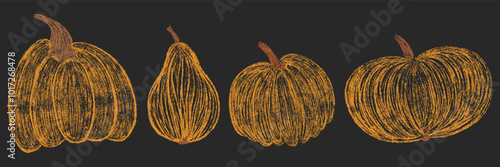 Chalk drawing pumpkins collection. Set of pencil hand drawn textured autumn pumpkin. Orange fall Halloween or Thanksgiving crayon freehand elements. Isolated vector illustration