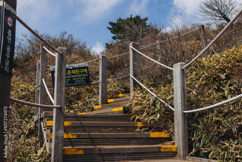 Hallasan National Park, Jeju island, South Korea, spring view of Yeongsil trail with wooden ladder path stairs, trekking and climbing, stairway to Halla mountain, hiking in Korea, Jeju-do, sunny day photo