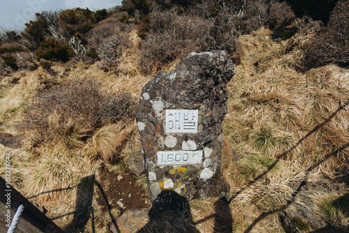 Hallasan National Park, Jeju island, South Korea, spring view of Yeongsil trail with wooden ladder path stairs, trekking and climbing, stairway to Halla mountain, hiking in Korea, Jeju-do, sunny day photo