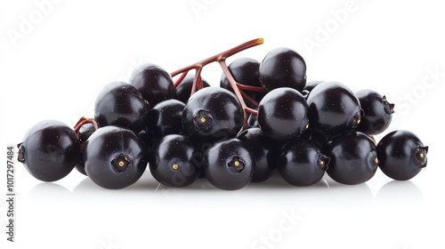 Fresh elderberries on stem, isolated on a white background, no shadows