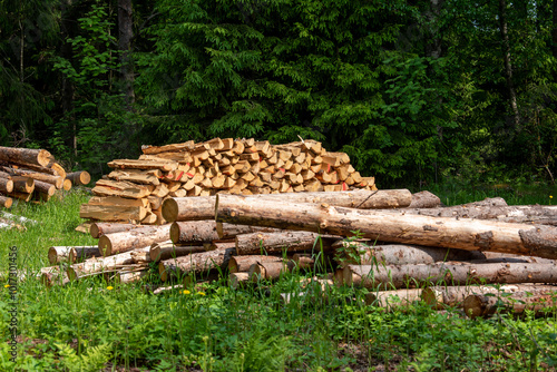 Stack of Logs