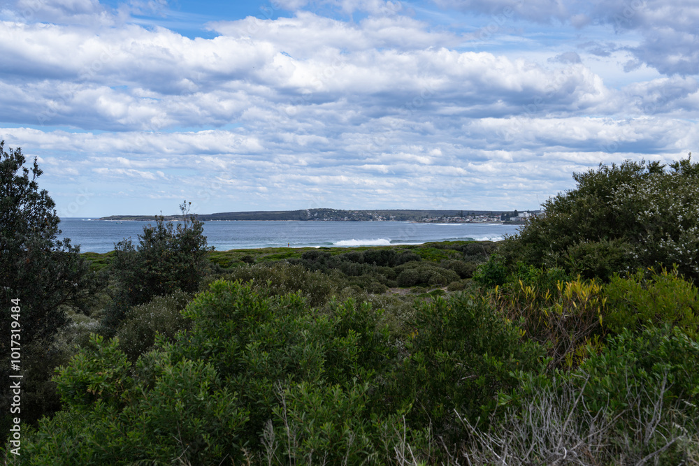 scenic view of Cronulla Beach in Sydney, New South Wales, Australia, with lush greenery framing the coastline scenic view of Cronulla Beach in Sydney, New South Wales, Australia, with lush greenery framing the coastline