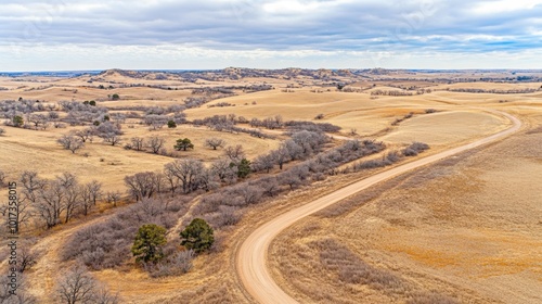 Winding Rural Road Through Golden Landscape