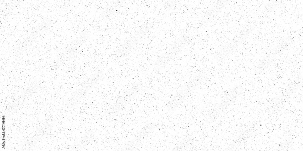 White Sand Wall Texture Background.white terrazzo flooring texture background. realistic raster pattern of mosaic floor with natural stones, granite, marble, quartz, concrete. polished rock.
White Sand Wall Texture Background.white terrazzo flooring texture background. realistic raster pattern of mosaic floor with natural stones, granite, marble, quartz, concrete. polished rock.