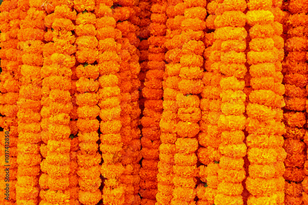 Fototapeta premium Garland of Mexican Marigold Flower.