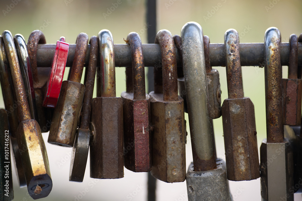 Closeup of multiple padlocks on metal fence bar Closeup of multiple padlocks on metal fence bar